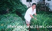 一个退休老人与他的科普事业 记全国农村科普带头人张喜乐