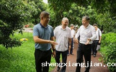 省科协调研组到广东从化荔枝科技小院开展专题调研