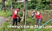 清远市科协党支部开展“爱绿植绿护绿兴绿”主题党日活动
